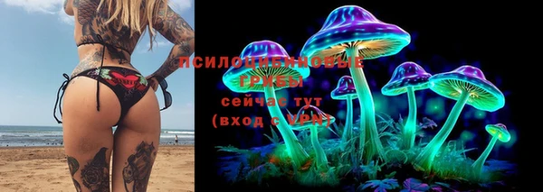 дурь Богданович