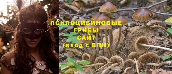 PSILOCYBIN Касимов