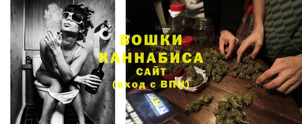 дурь Богданович