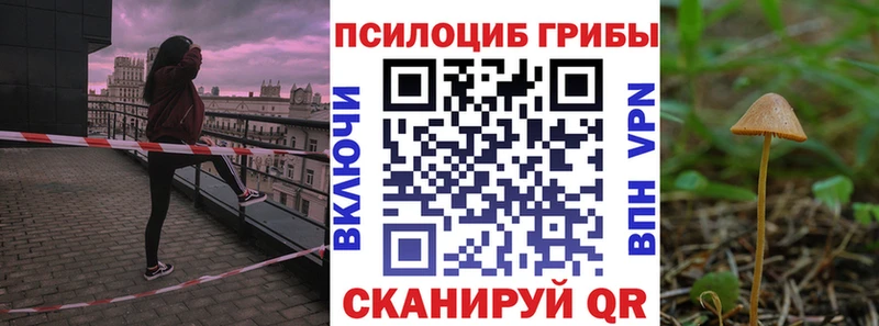 купить цена Кушва Галлюциногенные грибы Magic Shrooms