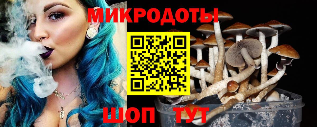 где купить   Вход с VPN  Псилоцибиновые грибы мицелий  Кушва  Галлюциногенные грибы Cubensis 