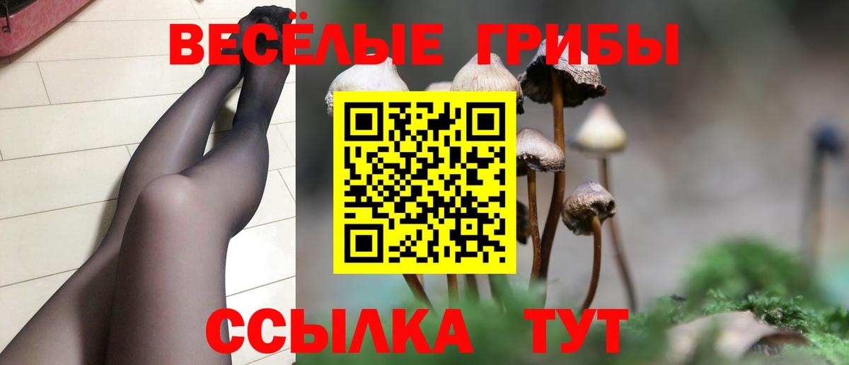Галлюциногенные грибы Cubensis Кушва